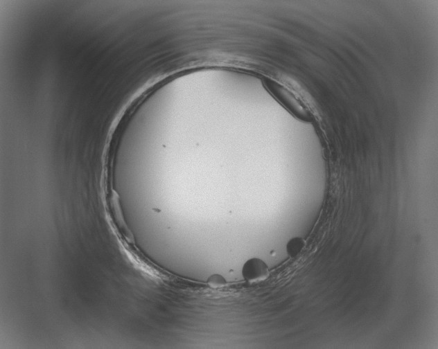 X0000082201136200702092354