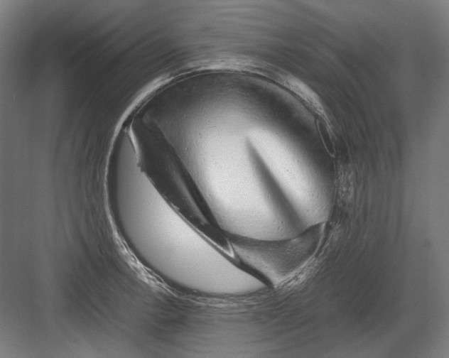 X0000082201138200702092354