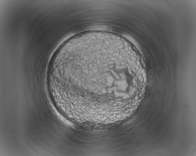 X0000082201139200702092354