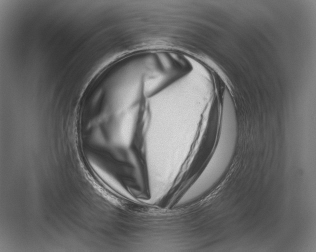 X0000082201142200702092354