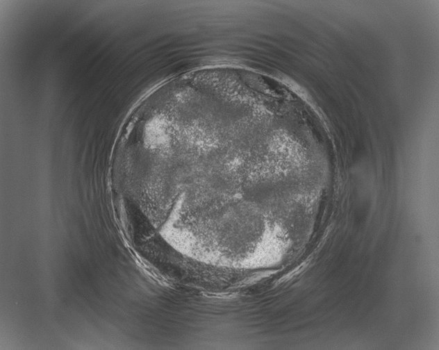 X0000082201145200702092354