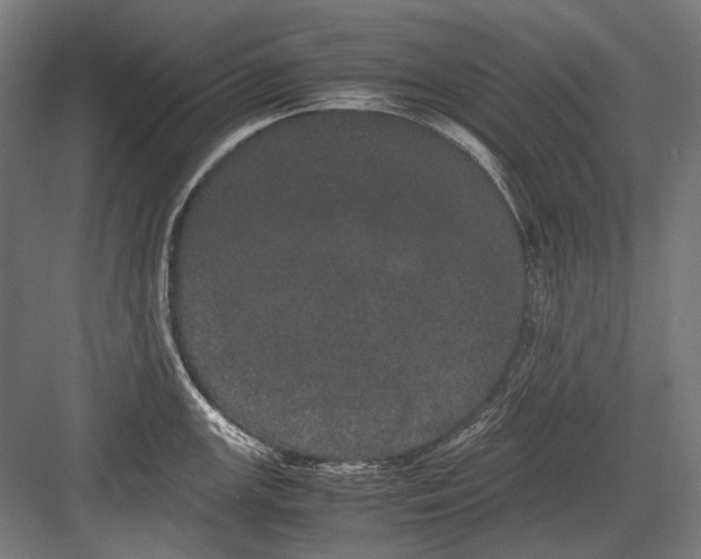 X0000082201147200702092354