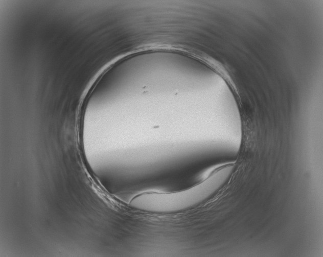 X0000082201148200702092354