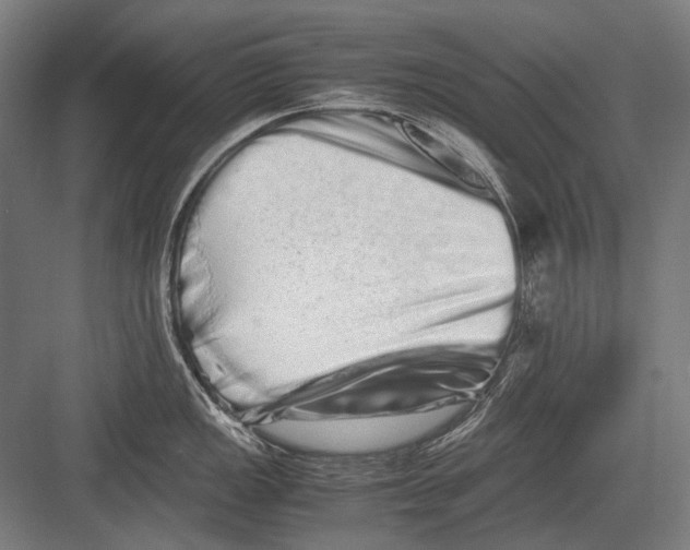 X0000082201149200702092354