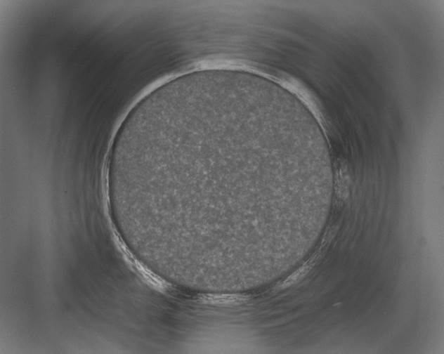 X0000082201150200702092354