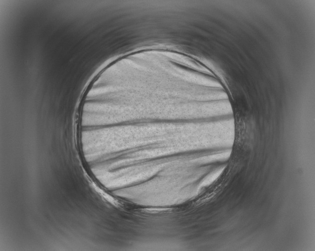 X0000082201151200702092354