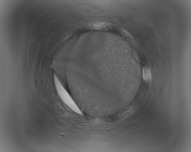 X0000082201155200702092354