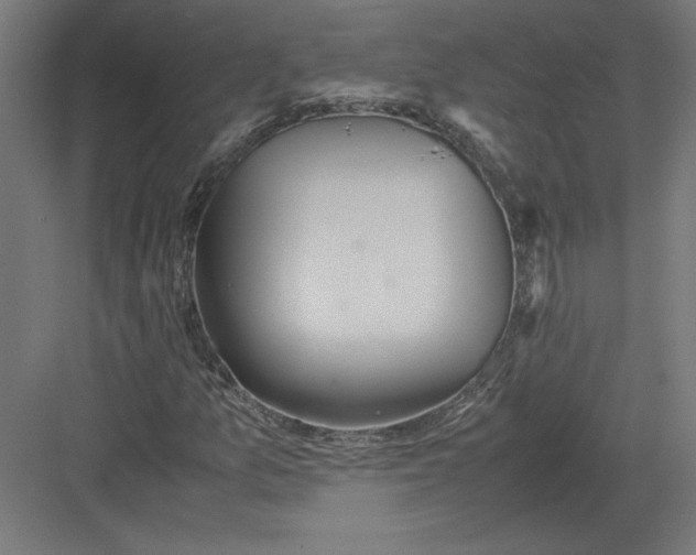 X0000082201157200702092354