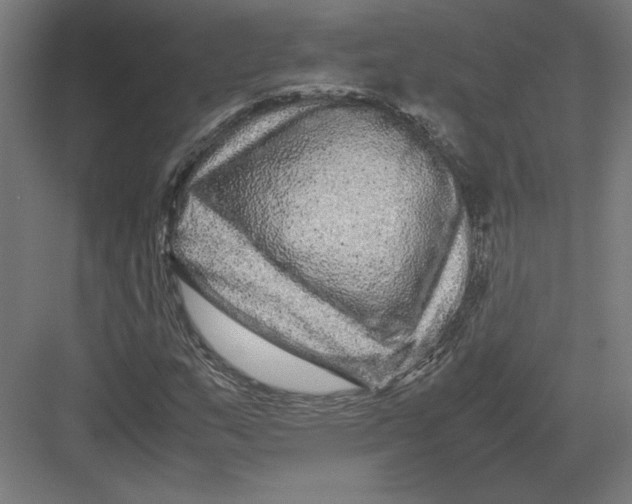 X0000082201159200702092353