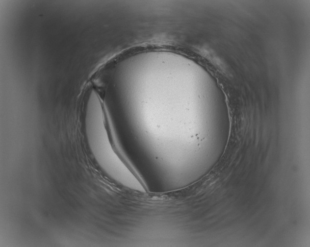 X0000082201160200702092353