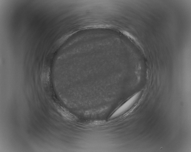 X0000082201161200702092353