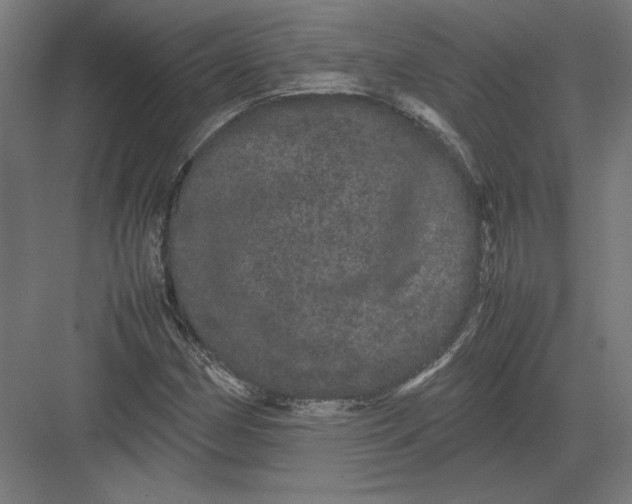 X0000082201162200702092353