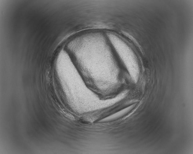 X0000082201163200702092353