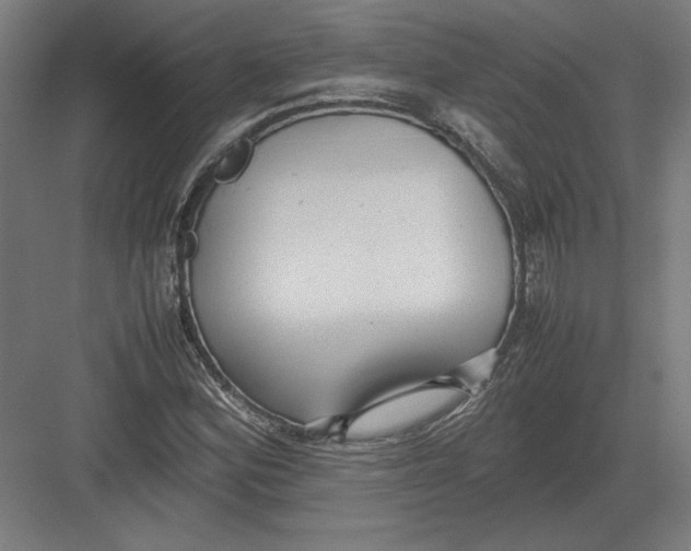 X0000082201164200702092353