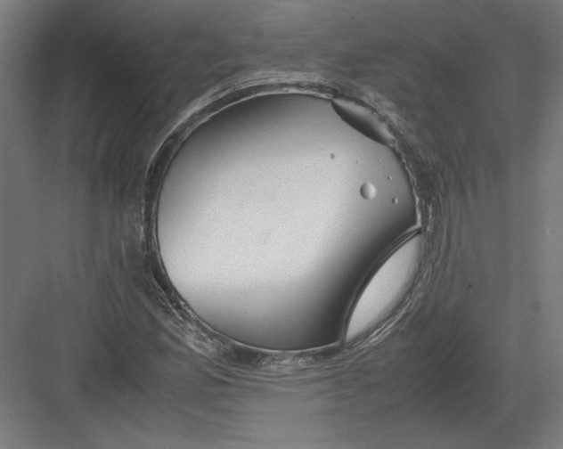 X0000082201165200702092353