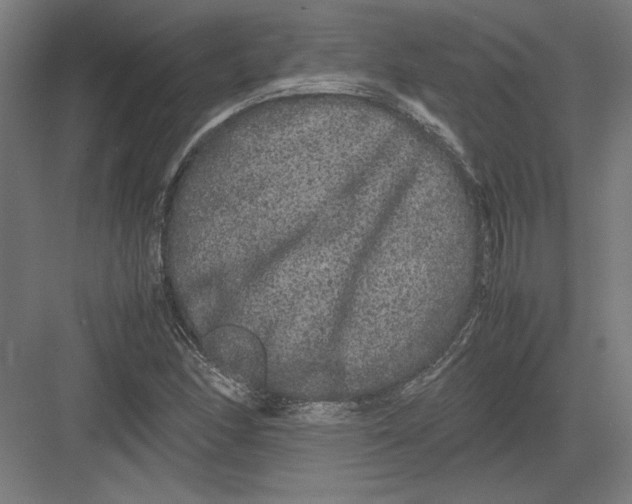 X0000082201166200702092353