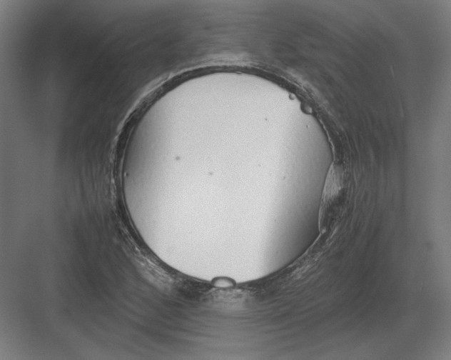 X0000082201168200702092353