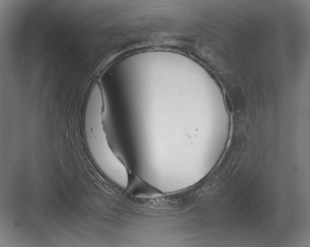 X0000082201169200702092353