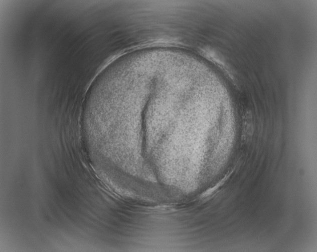 X0000082201170200702092353