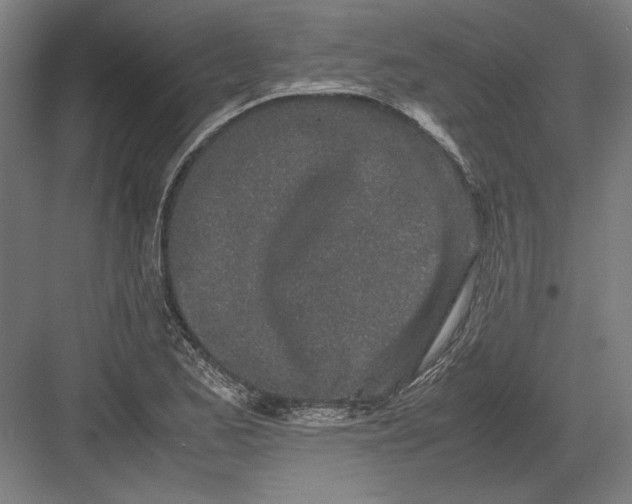 X0000082201173200702092353