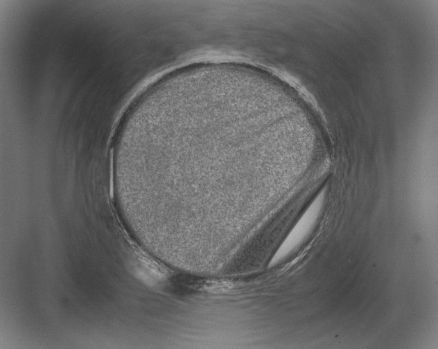 X0000082201175200702092353