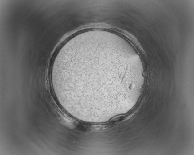 X0000082201176200702092353