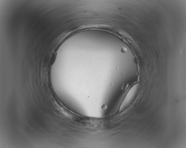 X0000082201177200702092353