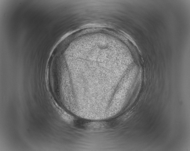 X0000082201179200702092353