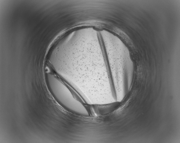 X0000082201180200702092353