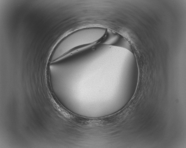 X0000082201181200702092353