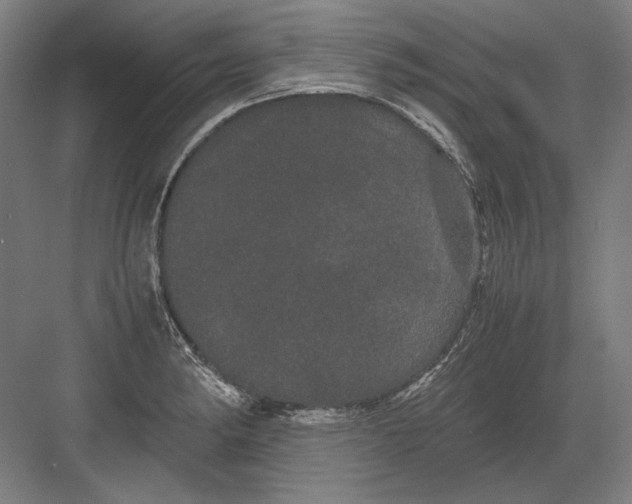 X0000082201182200702092353