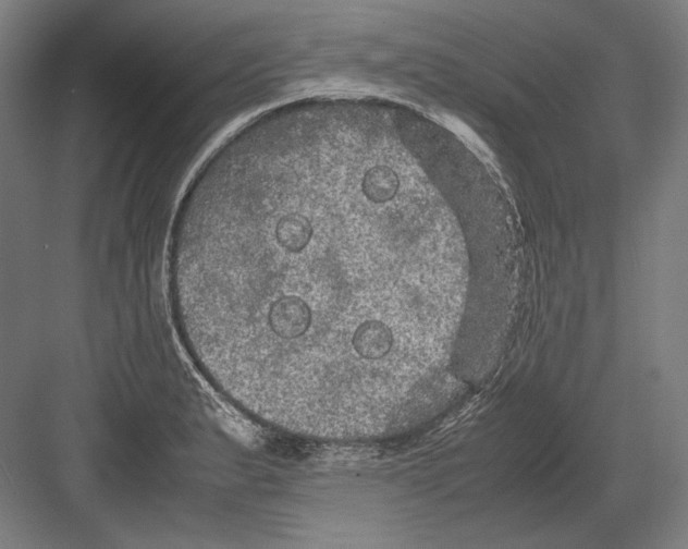 X0000082201183200702092353