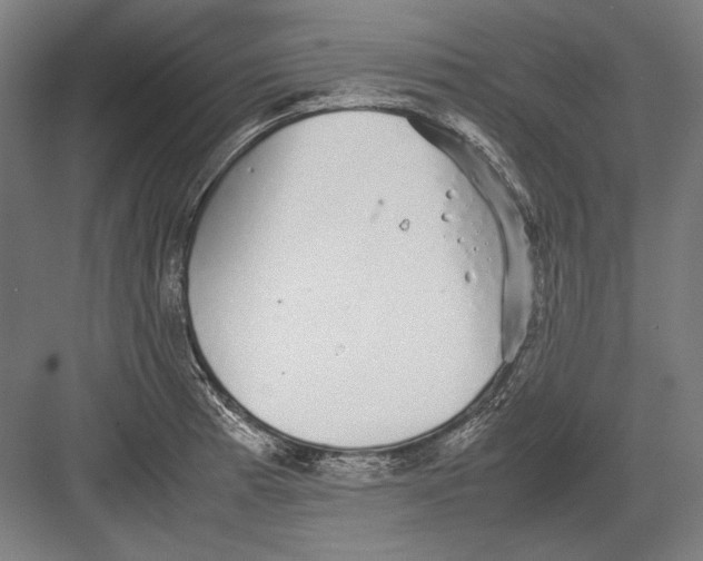 X0000082201185200702092353