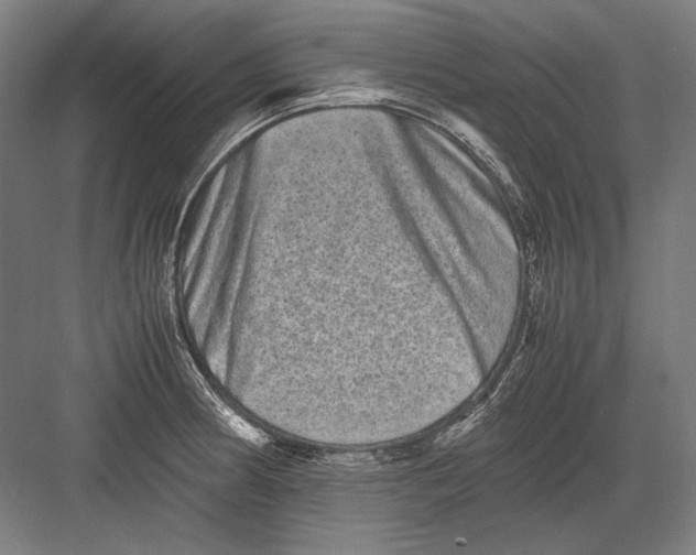 X0000082201186200702092353