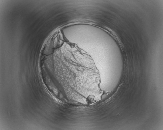 X0000082201188200702092353