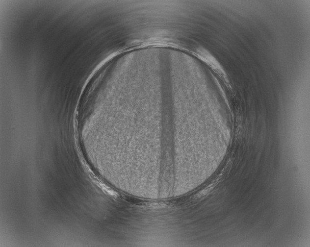 X0000082201190200702092353