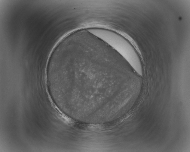 X0000082201191200702092353