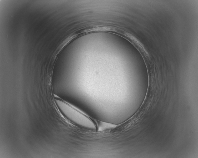 X0000082201193200702092353