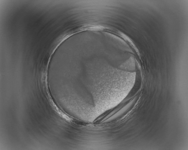 X0000082201194200702092353