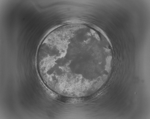 X0000082201195200702092353