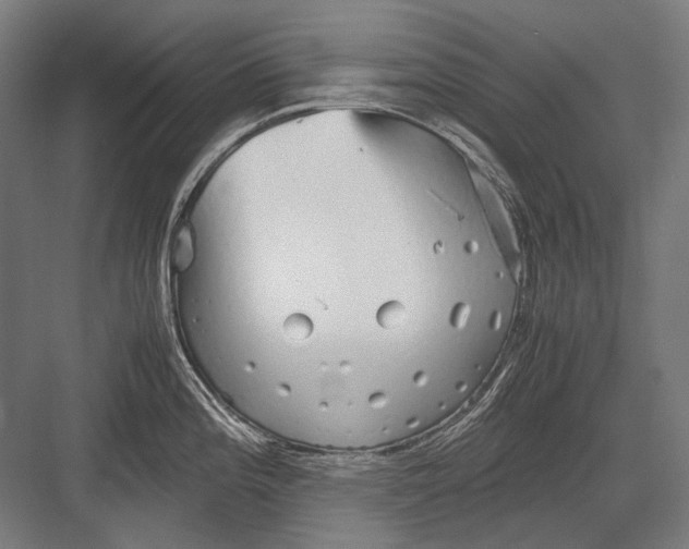 X0000082201196200702092353