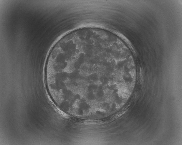 X0000082201199200702092353