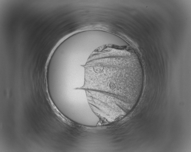 X0000082201200200702092353