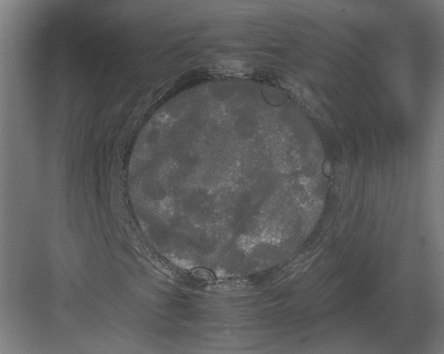 X0000082201201200702092352