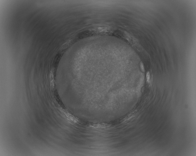 X0000082201203200702092352