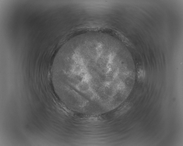 X0000082201204200702092352