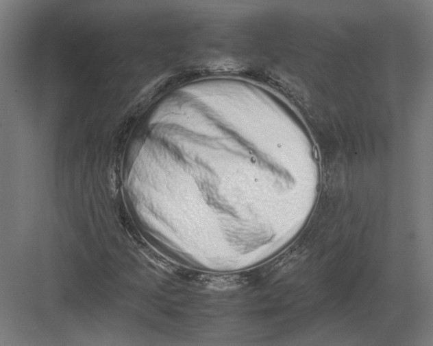 X0000082201205200702092352