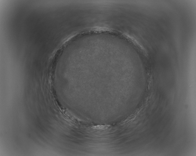 X0000082201207200702092352