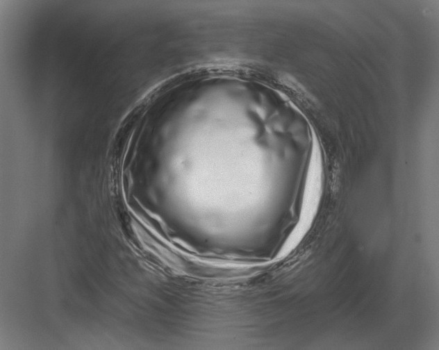 X0000082201208200702092352