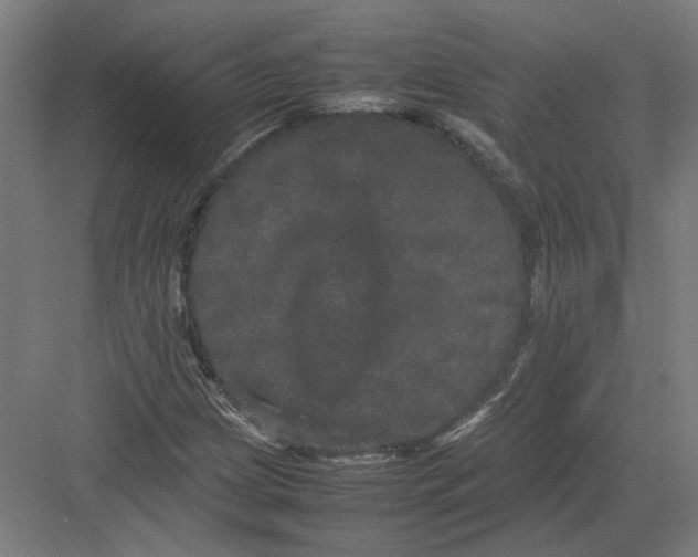 X0000082201209200702092352